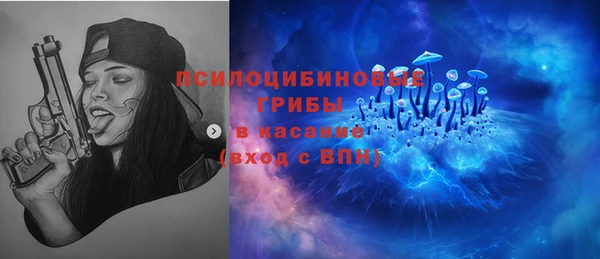 соль ск Арсеньев