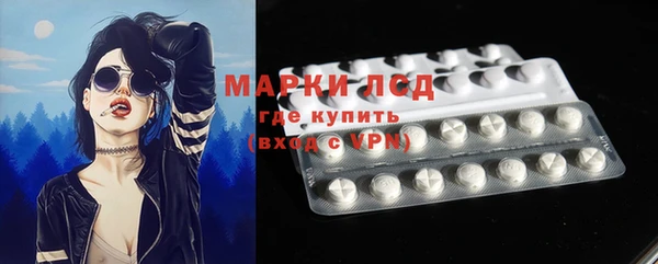 гашик Аркадак