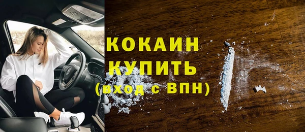 гашик Мегион